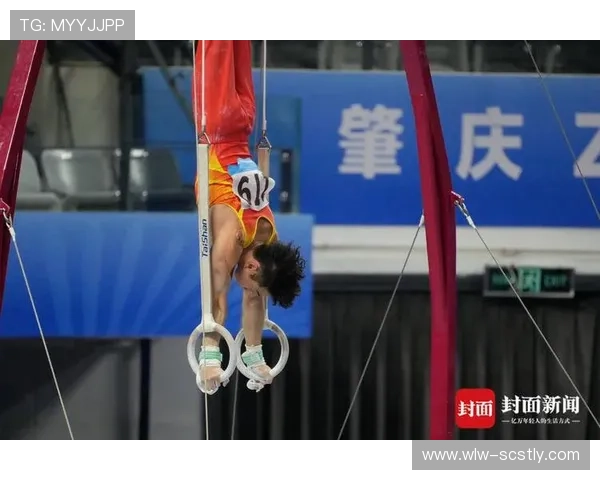 全运会男子体操鞍马决赛精彩纷呈 多名选手上演极限挑战